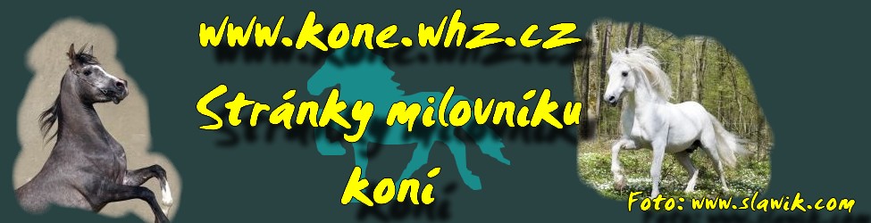 kone.whz.cz_logo.jpg